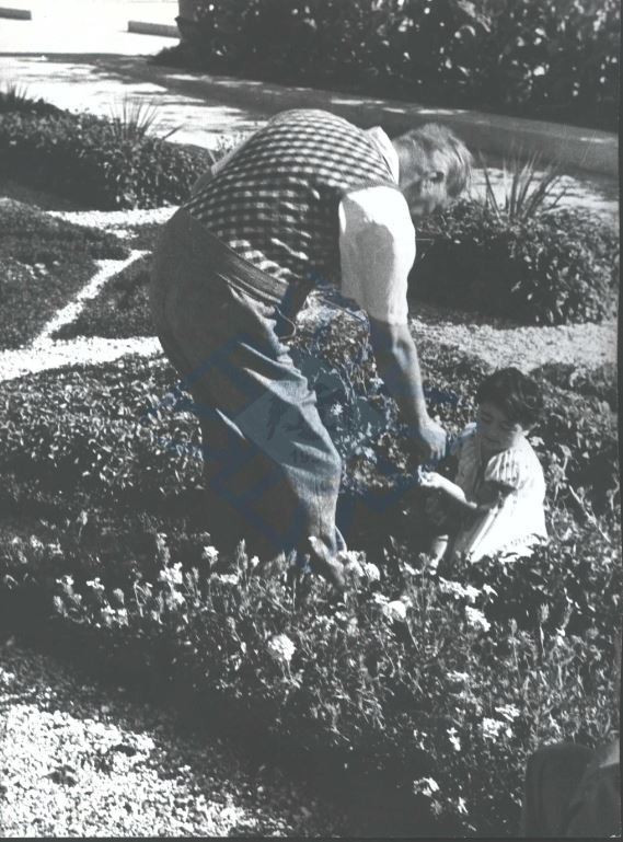 ttkdan dijital tarih arsivi 1150 fotograf internette 1 hrqpS2Hs