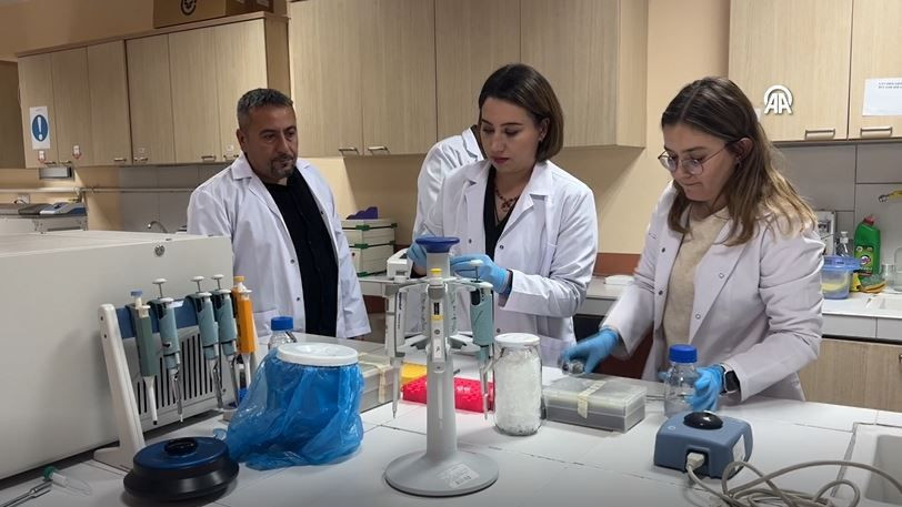 turkiyede heyecanlandiran kesif kor kostebegin 3 yeni turu bulundu genetik sirlar cozuluyor 1 DcPepgMV