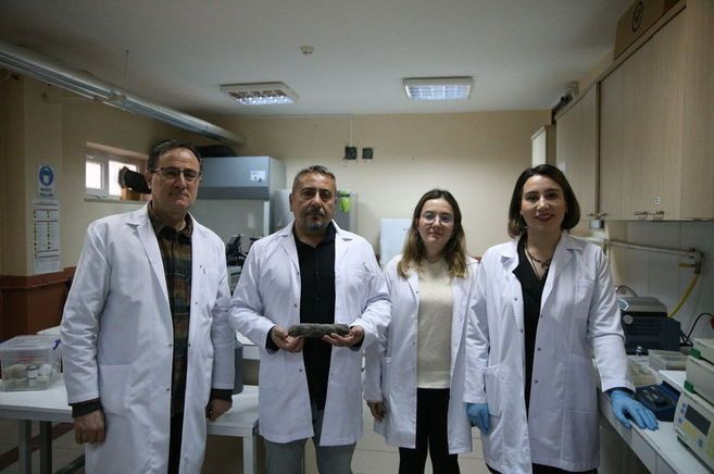 turkiyede heyecanlandiran kesif kor kostebegin 3 yeni turu bulundu genetik sirlar cozuluyor 13 pmkpinzH