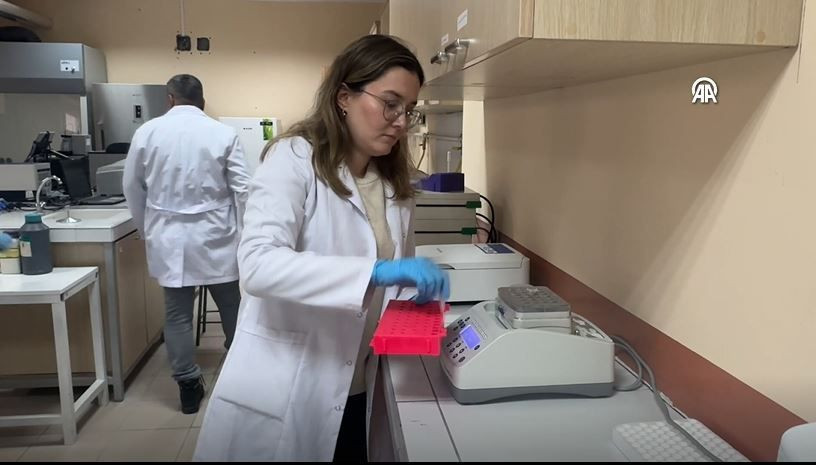 turkiyede heyecanlandiran kesif kor kostebegin 3 yeni turu bulundu genetik sirlar cozuluyor 3 65C6b7pJ