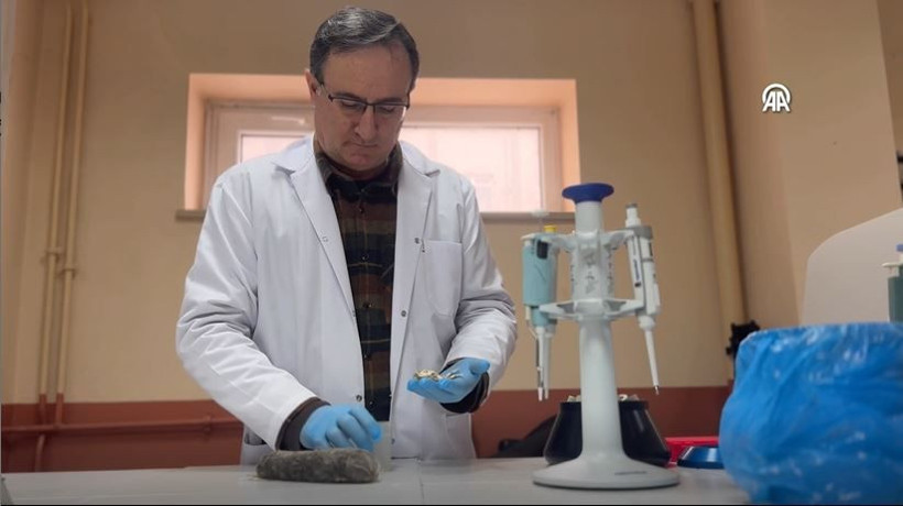 turkiyede heyecanlandiran kesif kor kostebegin 3 yeni turu bulundu genetik sirlar cozuluyor 5 Gs7sNYzc