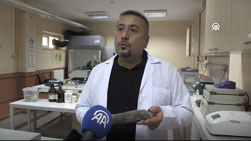 turkiyede heyecanlandiran kesif kor kostebegin 3 yeni turu bulundu genetik sirlar cozuluyor 9 mUzhGM8u