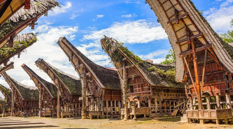 yuruyen oluler koyu urkutuyor 0 k43Wwnt6