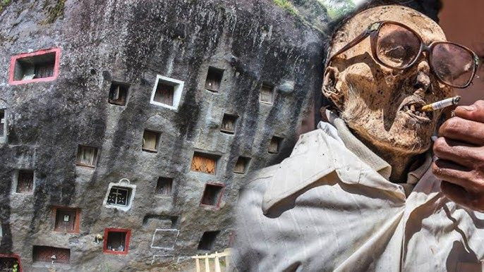 yuruyen oluler koyu urkutuyor 11 mE3d6zt7