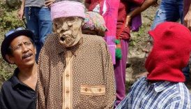 yuruyen oluler koyu urkutuyor GUtSgUhJ