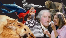 dunyanin en garip ve akil almaz bilgileri inanilmaz ama gercek vWjWTA3J