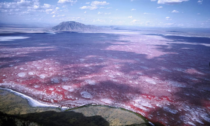 dunyanin en tehlikeli 15 adresi buraya giren bir daha donemiyor 7 HmBuE5P9