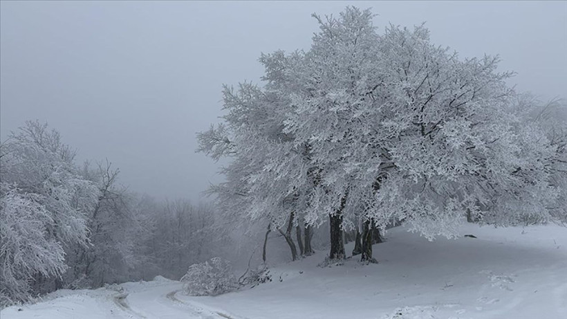 ganos dagi beyaza burundu ormanlar masal diyarina donustu 0 F8FnzfmC