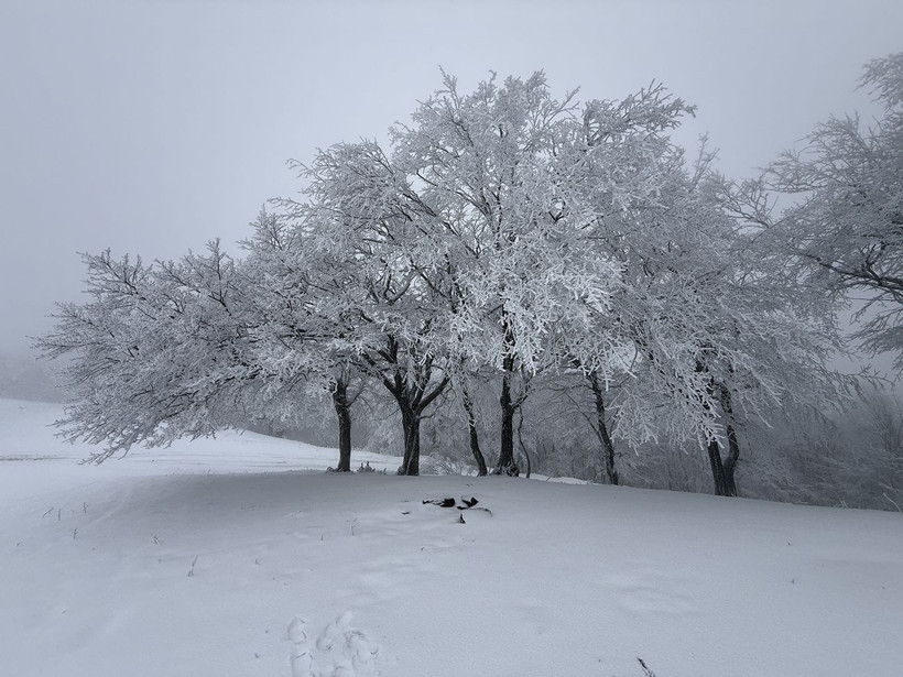 ganos dagi beyaza burundu ormanlar masal diyarina donustu 1 m9Cmdt6F