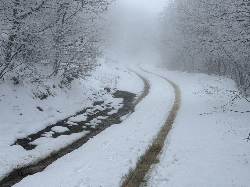 ganos dagi beyaza burundu ormanlar masal diyarina donustu 13 p4InbzAc