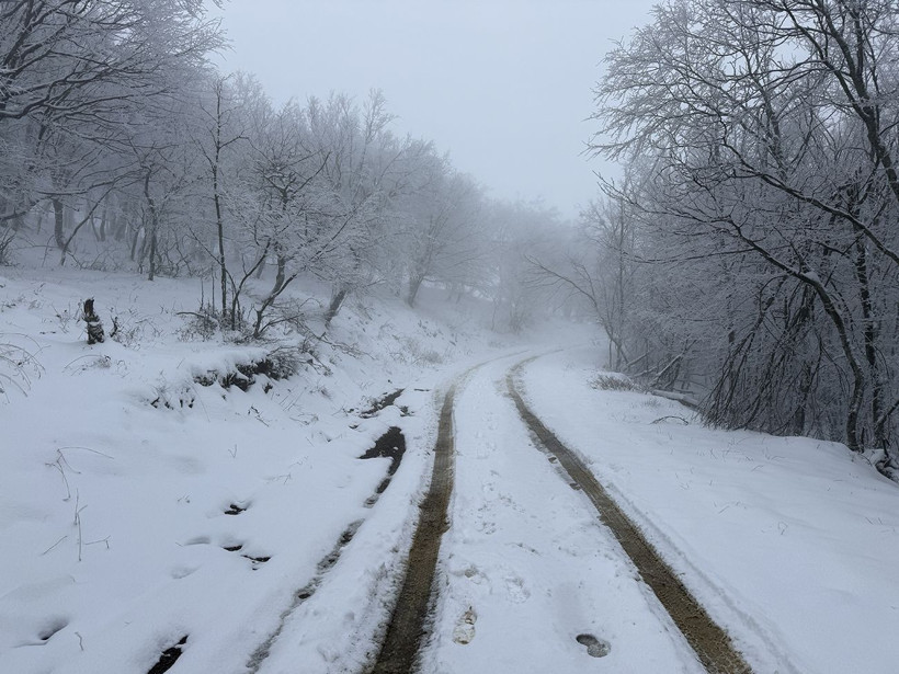 ganos dagi beyaza burundu ormanlar masal diyarina donustu 2 dBSTbHrL