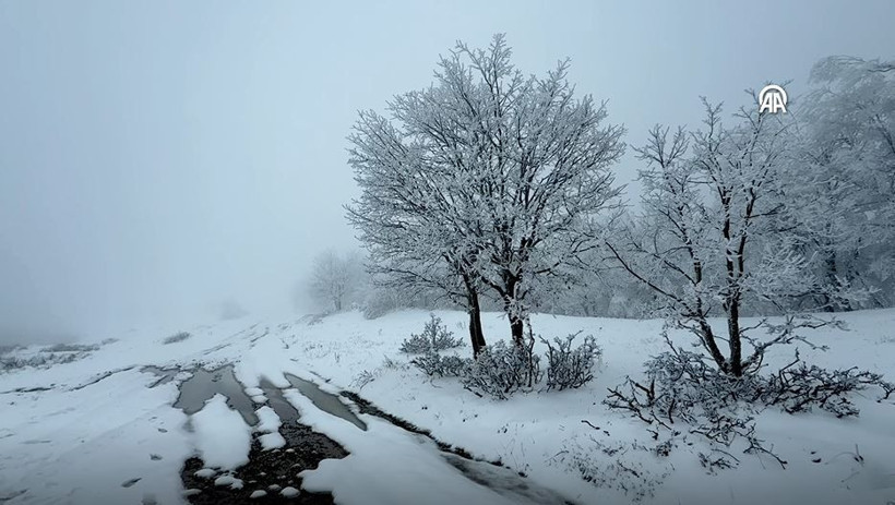 ganos dagi beyaza burundu ormanlar masal diyarina donustu 3 kWDK5Hdu