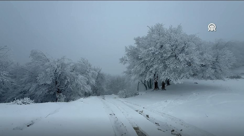 ganos dagi beyaza burundu ormanlar masal diyarina donustu 4 QMOjegET