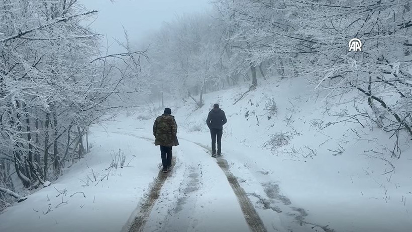 ganos dagi beyaza burundu ormanlar masal diyarina donustu 5 UKz3qwOy
