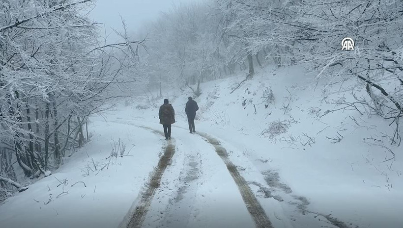 ganos dagi beyaza burundu ormanlar masal diyarina donustu 6 4OZ9mpeb