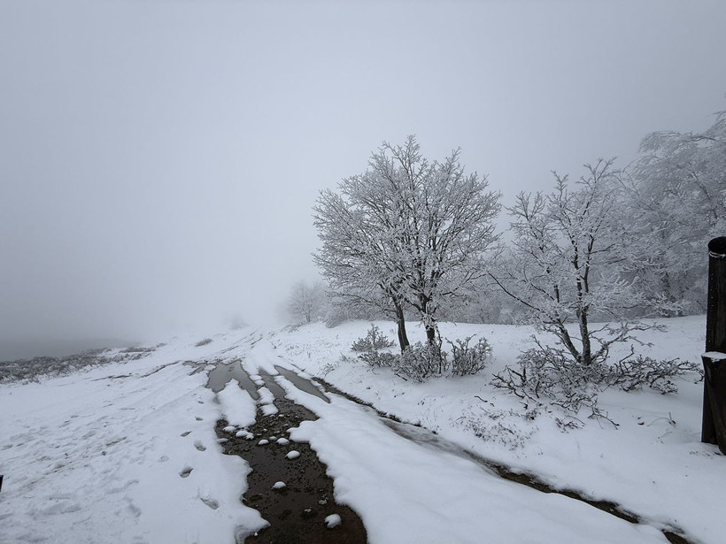 ganos dagi beyaza burundu ormanlar masal diyarina donustu 9 5hYzGFiw