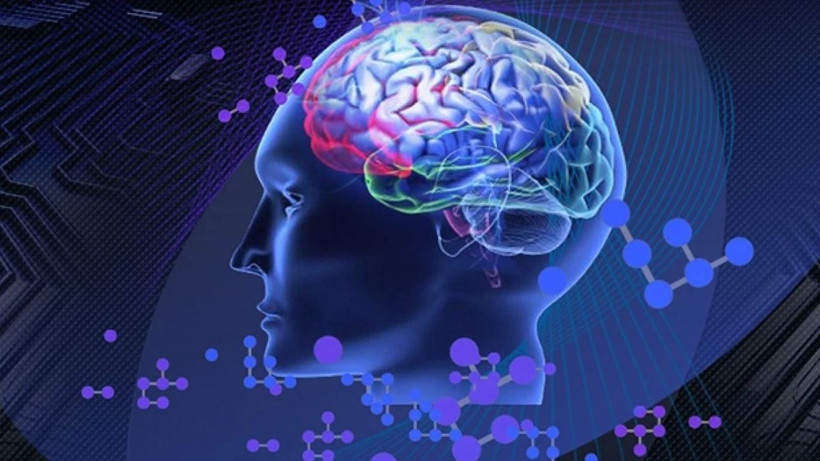 insan beyni gelecegi gorebiliyor hafiza merkezi ile ilgili yeni kesif 3 3cB1DcyD