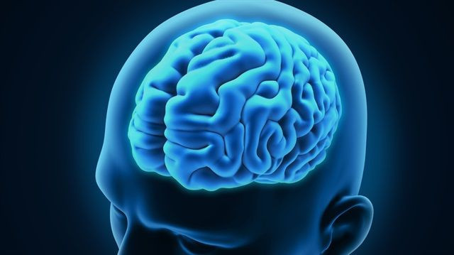 insan beyni gelecegi gorebiliyor hafiza merkezi ile ilgili yeni kesif 4 JHOCZ6Ew