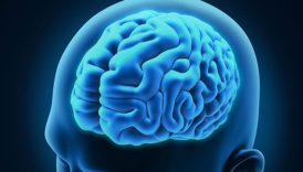 insan beyni gelecegi gorebiliyor hafiza merkezi ile ilgili yeni kesif wQFlT27p
