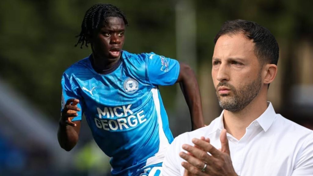 istanbula indi fenerbahce macina cikacak manchester citynin yildizi tedescoya kabusu yasatacak mjWj3KRb