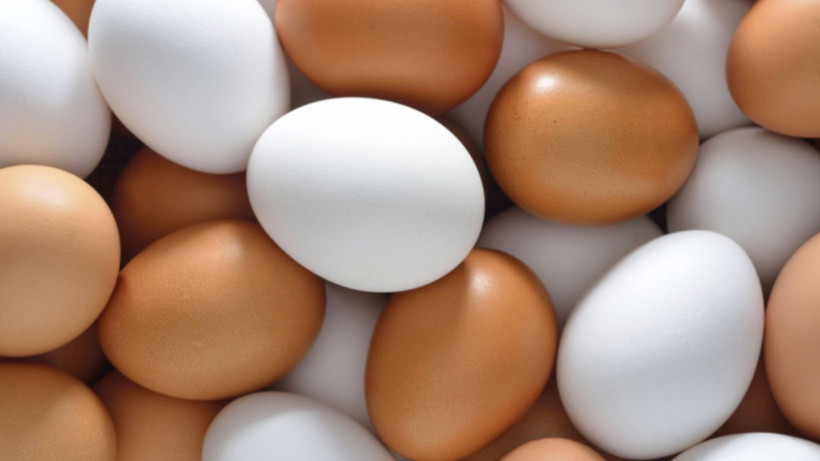 kahverengi yumurta tarih oluyor marketler beyaz yumurtaya gecti 1 2klspsZI