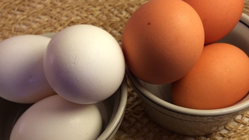 kahverengi yumurta tarih oluyor marketler beyaz yumurtaya gecti 3 vkRYsqWK