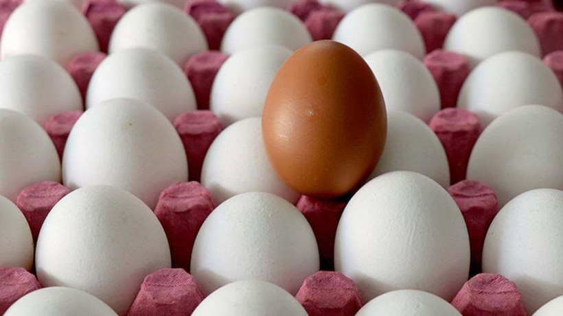 kahverengi yumurta tarih oluyor marketler beyaz yumurtaya gecti 4 zQDnaJlI