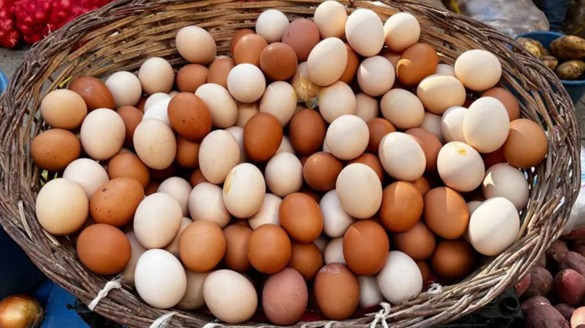 kahverengi yumurta tarih oluyor marketler beyaz yumurtaya gecti 5 L7gXeeYe