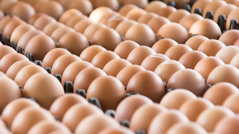 kahverengi yumurta tarih oluyor marketler beyaz yumurtaya gecti 6 7auKGOrD