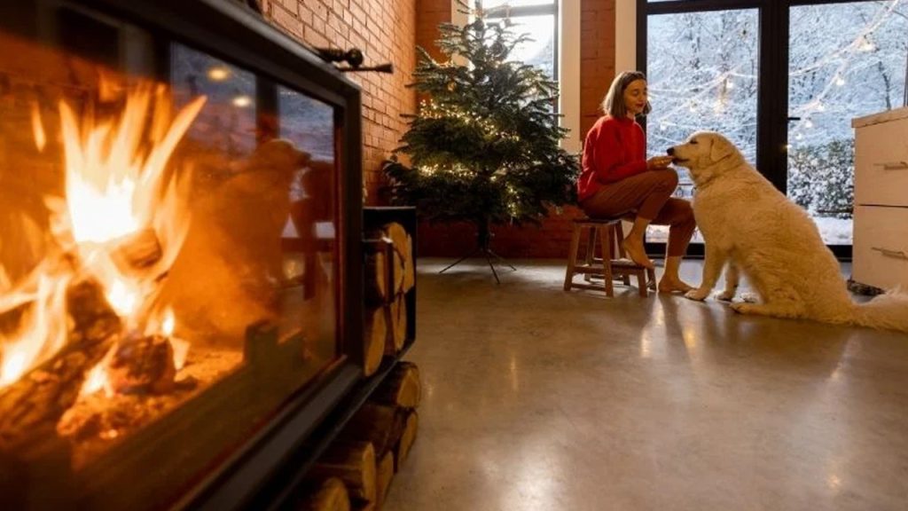 kis mevsiminde ev isisini korumanin puf noktasi AsFFzl2I