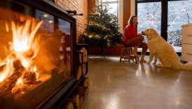 kis mevsiminde ev isisini korumanin puf noktasi AsFFzl2I