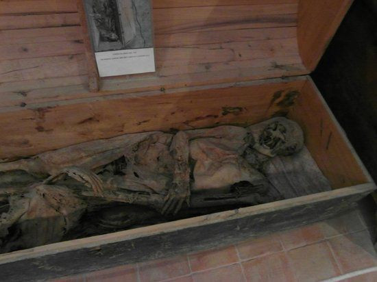 mumyalanan rahibin korkutan gizemi 0 S2PQtPDS