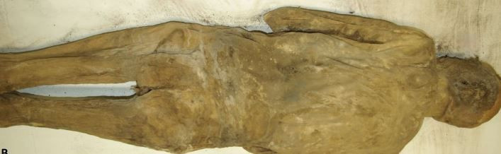 mumyalanan rahibin korkutan gizemi 8 bUdiO1ug