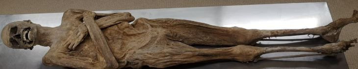 mumyalanan rahibin korkutan gizemi 9 2CdtTL7X