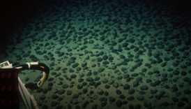 okyanusun derinliklerinde ezber bozan kesif uH9HqWTD