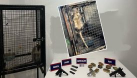 operasyonda maymunun sirri aydinda silah ve hayvan kacakciligi iegbBcgD