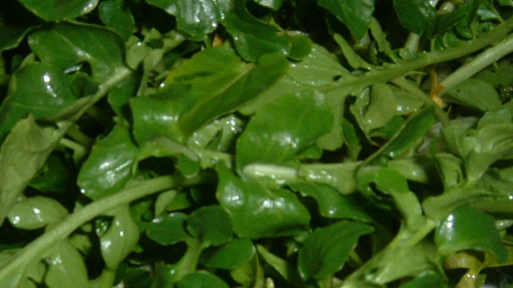 super gidalarin sahi belli oldu qBpHBYif