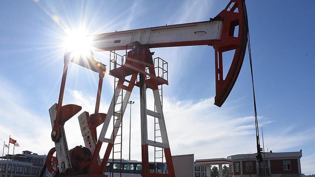 turk petrol devinin iflasinda ikinci duyuru alacaklilar hop oturup hop kalkiyor WPuDlRjO